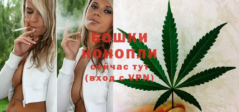 закладка  Воронеж  Бошки марихуана THC 21% 